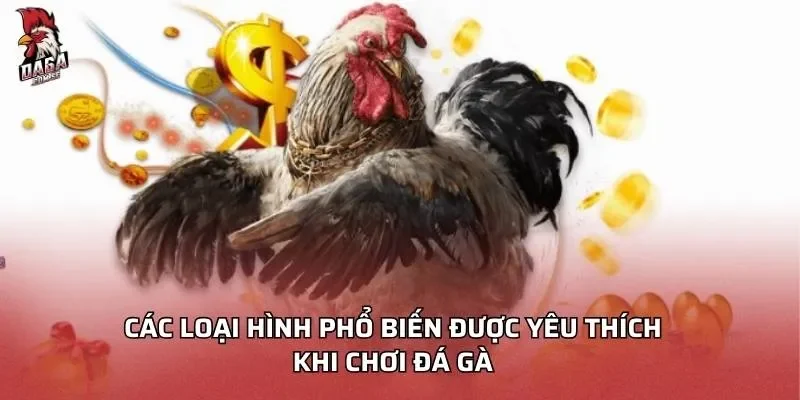 Các loại hình phổ biến được yêu thích khi chơi đá gà