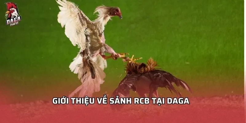 Sảnh RCB Tại DAGA - Những Điều Đặc Sắc Nhất Không Thể Bỏ Qua 2 Giới thiệu về sảnh RCB tại DAGA